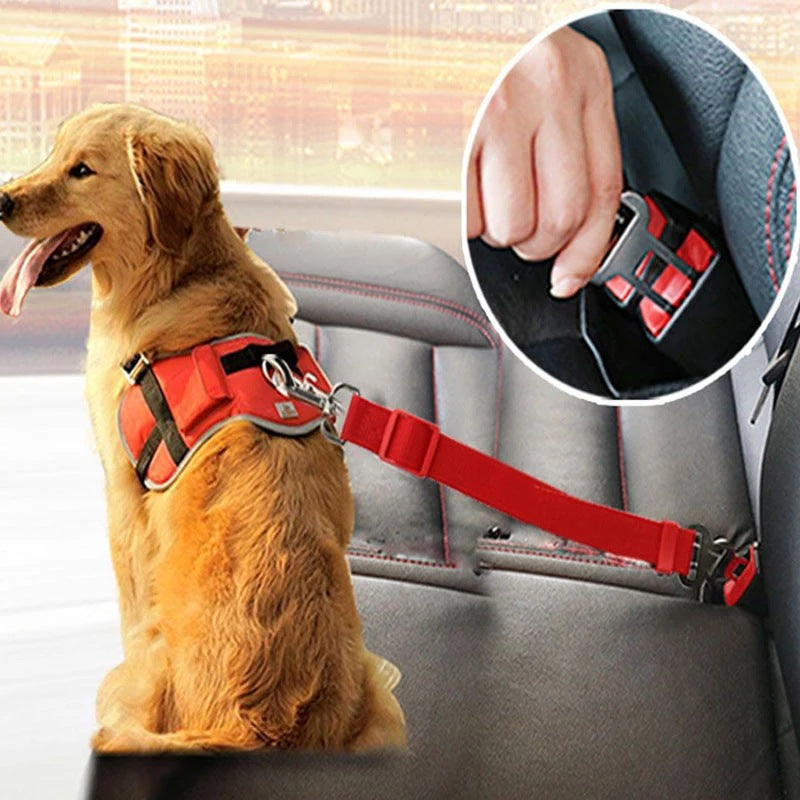 Hunde-Sicherheitsgurt fürs Auto