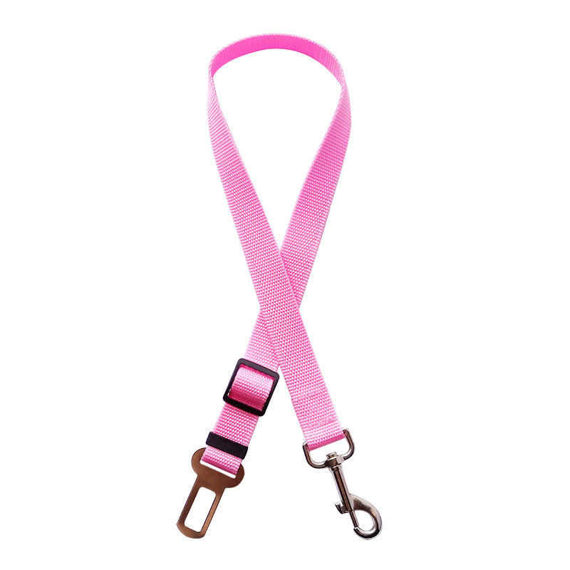 Sicherheitsgurt Karabiner